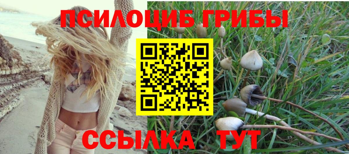 Псилоцибиновые грибы Magic Shrooms Крымск