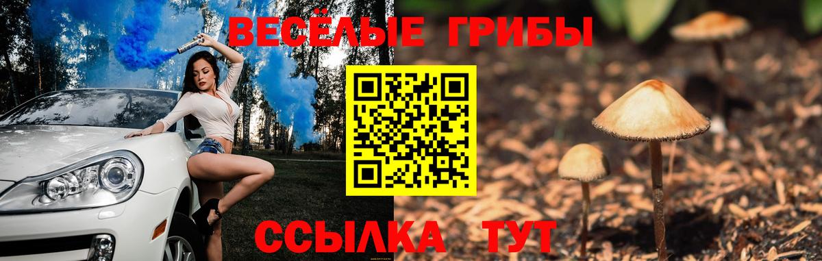 Крымск  Галлюциногенные грибы ЛСД  Галлюциногенные грибы прущие грибы  Вход с VPN 