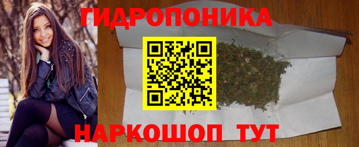 Бошки марихуана OG Kush Крымск